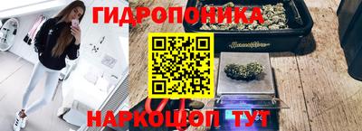 шишки Кунгур